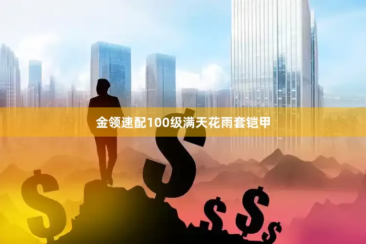 金领速配100级满天花雨套铠甲