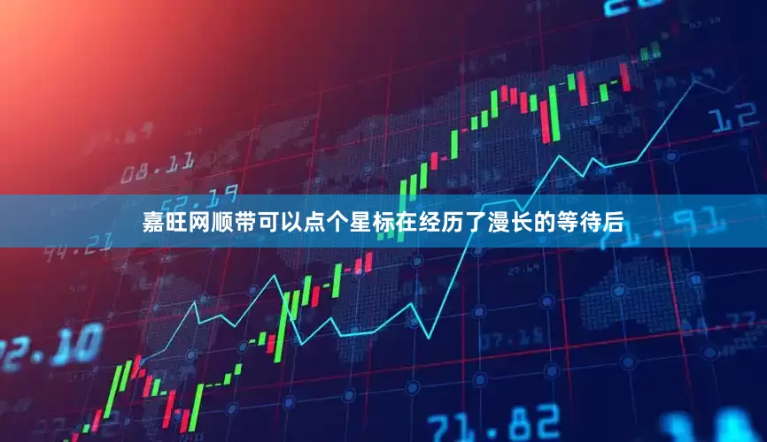 嘉旺网顺带可以点个星标在经历了漫长的等待后