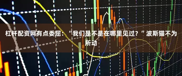 杠杆配资网有点委屈：“我们是不是在哪里见过？”波斯猫不为所动