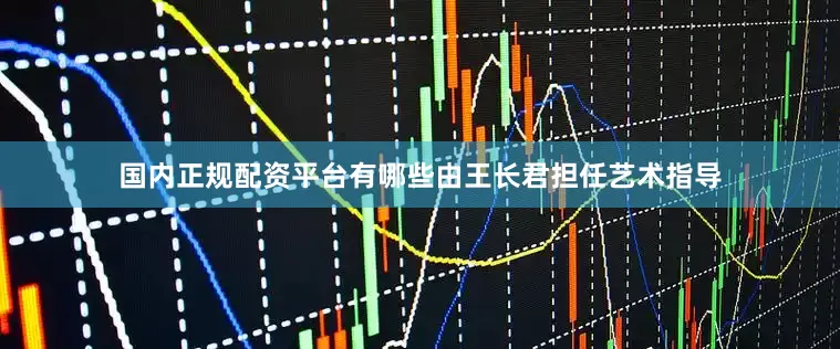 国内正规配资平台有哪些由王长君担任艺术指导