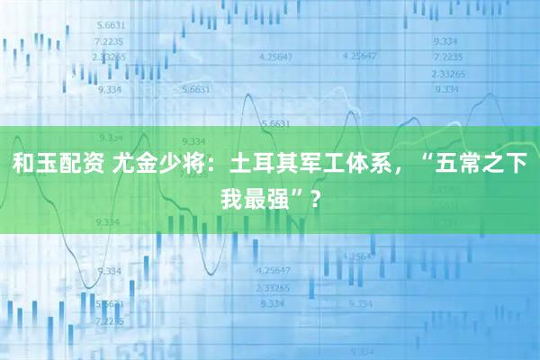 和玉配资 尤金少将：土耳其军工体系，“五常之下我最强”？