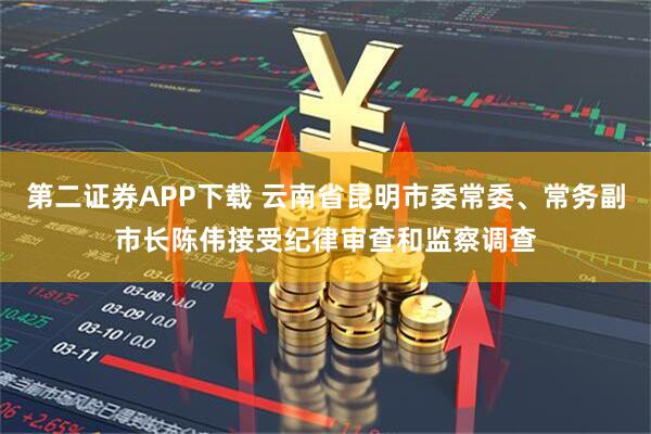 第二证券APP下载 云南省昆明市委常委、常务副市长陈伟接受纪律审查和监察调查