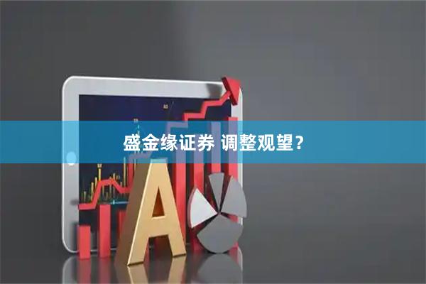 盛金缘证券 调整观望？