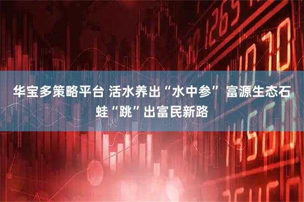 华宝多策略平台 活水养出“水中参” 富源生态石蛙“跳”出富民新路