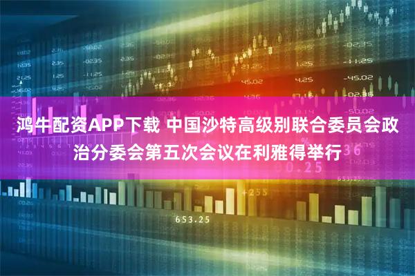 鸿牛配资APP下载 中国沙特高级别联合委员会政治分委会第五次会议在利雅得举行
