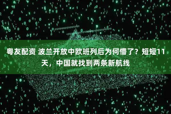 粤友配资 波兰开放中欧班列后为何懵了？短短11天，中国就找到两条新航线