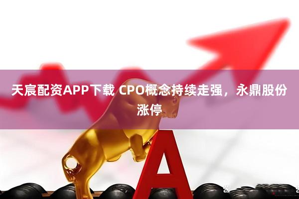 天宸配资APP下载 CPO概念持续走强，永鼎股份涨停